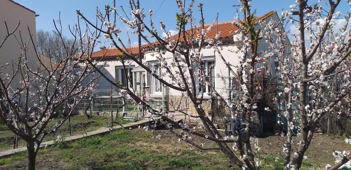 La Maison Du Bonheur แซงต์-โลรองต์-เดอ-ลา-ซาลองก์ ภายนอก รูปภาพ